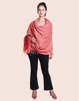Classic Striped Kullu Border Shawl | Red